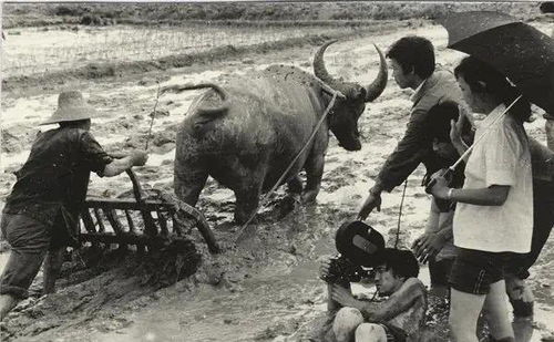 青春祭 沒有什么能夠阻擋，你對美麗的向往