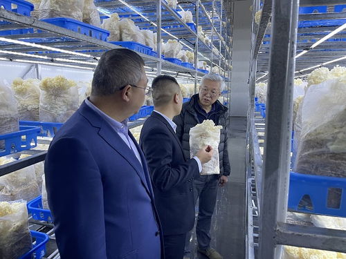 趙衛(wèi)深入商洛開展企業(yè)管理咨詢調研，助力區(qū)域經(jīng)濟發(fā)展